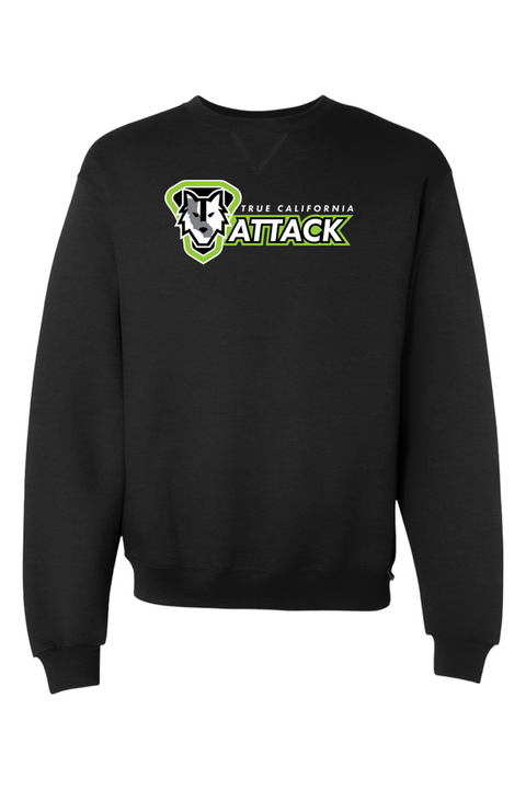 Russell Athletic Dri Power Crewneck Sweatshirt