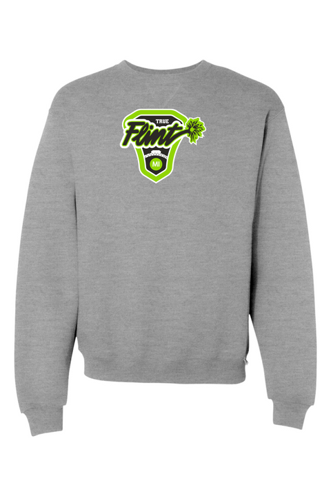 Russell Athletic Dri Power Crewneck Sweatshirt