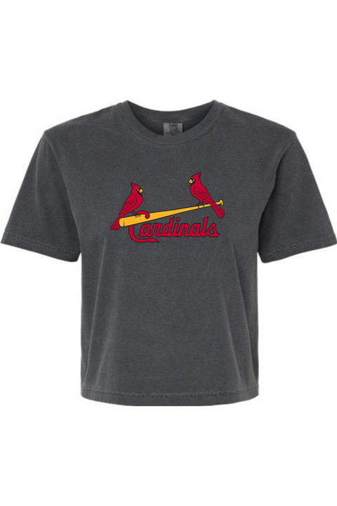 Comfort Colors Women's Heavyweight Boxy T-Shirt