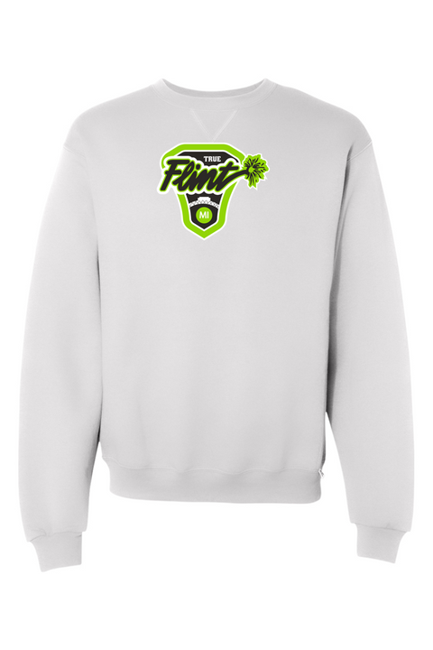 Russell Athletic Dri Power Crewneck Sweatshirt